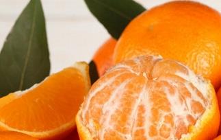 橘子跟桔子有什么区别 桔子和橘子有何区别