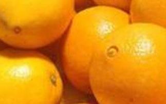 橙子不能和什么一起吃 橙子不能和什么一起吃香哈