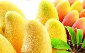 芒果不能和什么一起吃 芒果不能和什么水果一起吃