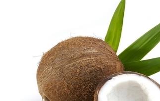 椰子的功效与作用 椰子的功效与作用及营养价值