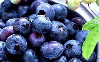 吃蓝莓的好处与坏处（吃蓝莓的好处与坏处是什么）
