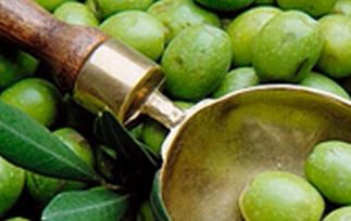 橄榄的功效与作用 橄榄的功效与作用及禁忌