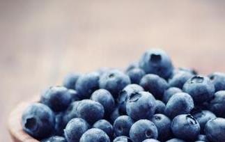蓝莓的功效与作用 蓝莓的功效与作用是凉性还是热性