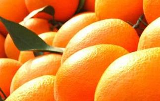 脐橙的营养价值与功效 脐橙的营养价值与功效与作用