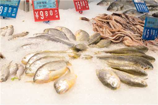 三刀鱼市场价格多少钱一公斤