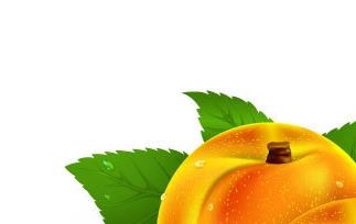 黄桃的营养价值和食疗功效 黄桃的营养价值和食疗功效与禁忌