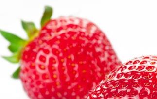 草莓的营养价值和草莓的食疗价值 草莓的营养价值和好处