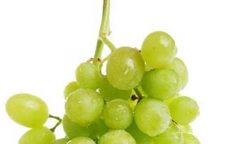 葡萄酒营养价值和医疗保健作用 葡萄酒的保健价值
