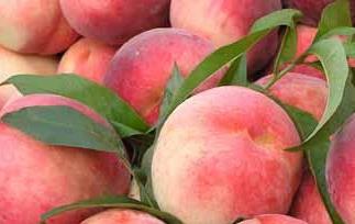 水蜜桃的营养价值与功效 水蜜桃有什么营养成分