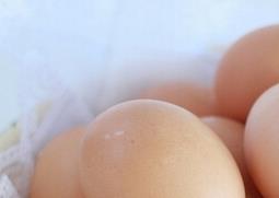 夏天如何防止鸡蛋变质 夏天如何防止鸡蛋变质发霉