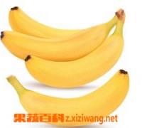 香蕉皮的功效与作用 香蕉的功效与作用