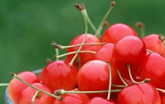 樱桃的营养,常吃樱桃的作用 吃樱桃的营养价值