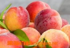 水蜜桃的功效和作用 水蜜桃的功效和作用