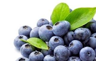 蓝莓 蓝莓的功效与作用