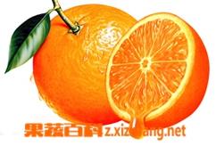 孕妇能吃桔子吗 血糖高孕妇能吃橘子吗