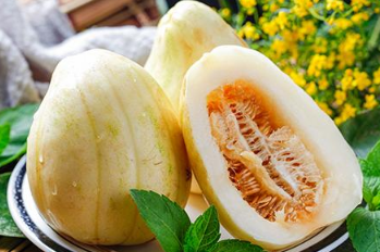 香瓜种植管理 香瓜需要什么生长环境