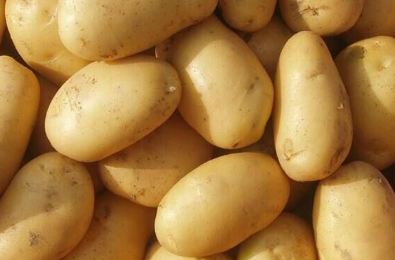 让土豆增产的种植管理技巧有哪些，土豆高产养殖总结