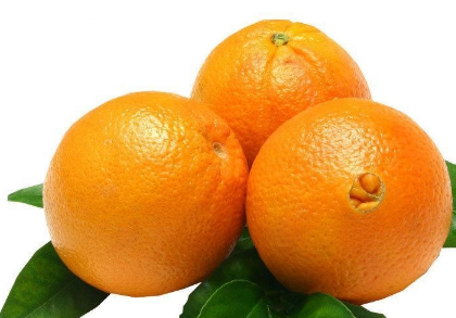 脐橙栽培管理技术，脐橙怎么种植（脐橙栽培管理技术,脐橙怎么种植视频）