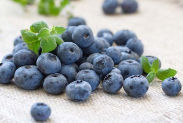 蓝莓高产怎么做，田间管理技术要点（蓝莓的种植技术和管理方法）