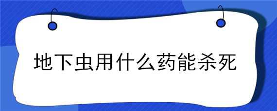 地下虫用什么药能杀死 菜地里的地下虫用什么药能杀死