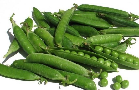 豌豆高产种植技术 豌豆怎么施肥