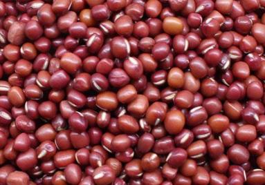 红小豆高产种植方法有哪些 红小豆怎么预防病虫害