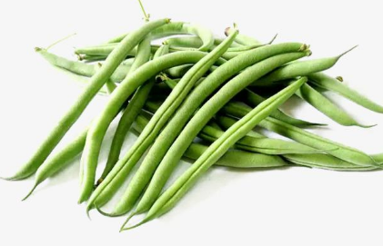 种植四季豆提高产量的施肥技巧有哪些，四季豆应该好养吗，怎么养殖