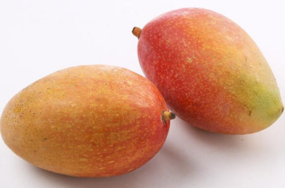 芒果结果期的管理 芒果养殖需要注意什么