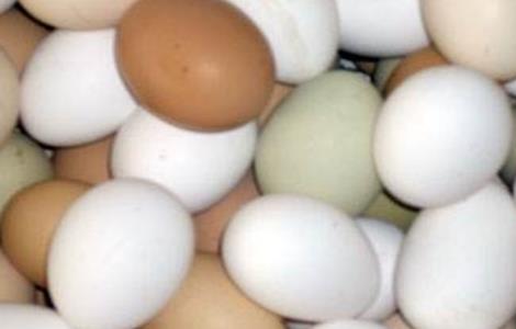 蛋鸡蛋壳变白是什么原因 蛋鸡蛋壳变白是什么原因?