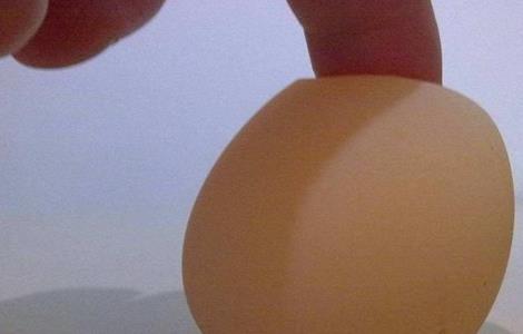 如何防止鸡生软壳蛋 鸡怎么会生软壳蛋原因