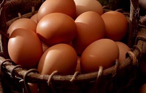 如何提高鸡蛋蛋壳质量（如何提高鸡蛋蛋壳质量呢）