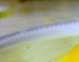 鸡子黄的功效与作用 鸡子黄的功效与作用性味归经