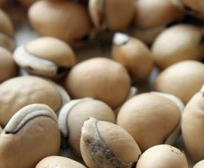 炒白扁豆有什么功效 炒白扁豆的功效与副作用