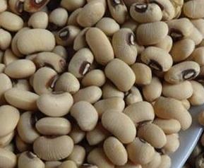 白豇豆的功效与作用 白豇豆的功效与作用及营养价值