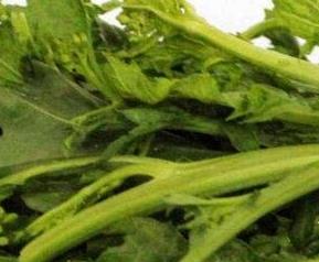 干油菜苔的功效与药用（油菜苔菜的营养价值和功效）
