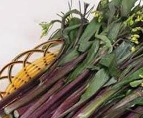 红菜苔的营养价值与功效 红菜苔的营养价值与功效图片