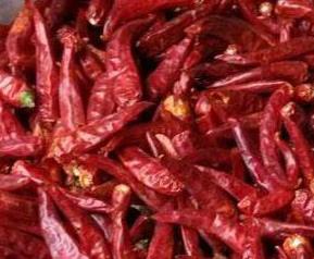 吃干红辣椒的功效与作用 吃干红辣椒的功效与作用是什么