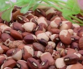 豇豆米的功效与作用 豇豆米的功效与作用及禁忌