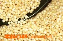 高粱米的功效与作用 高粱米的功效与作用及禁忌