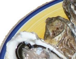 牡蛎的功效与作用 牡蛎的功效与作用的功能