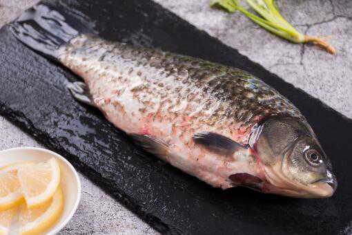 2021年鱼价暴涨原因具体是什么 2021年鱼都在涨价