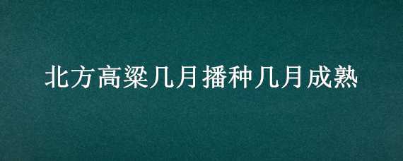 北方高粱几月播种几月成熟 北方高粱几月播种几月成熟玉米