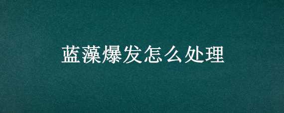 蓝藻爆发怎么处理（蓝藻爆发怎么处理干净）