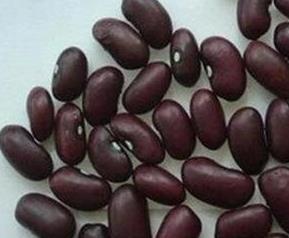 紫芸豆的功效与作用 紫芸豆的功效与作用及副作用