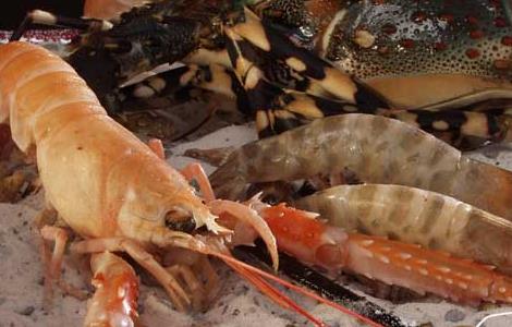 海虾与河虾的区别 海虾跟河虾的区别