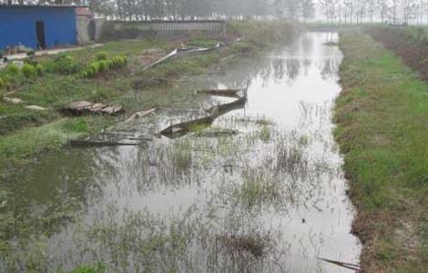 龙虾养殖场地建设