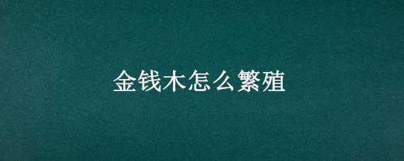 金钱木怎么繁殖（金钱木的繁殖方法有哪些）