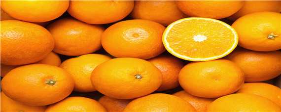 橙子几年结果 橙子几年成熟