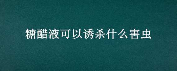 糖醋液可以诱杀什么害虫（糖醋液可以诱杀什么害虫呢）