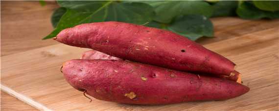 种植红薯怎样铺地膜 红薯盖地膜的栽种方法